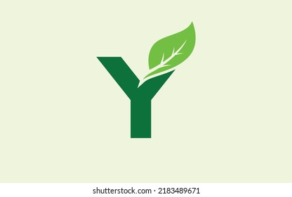 Y logo leaf for identity. nature template vector illustration for your brand.