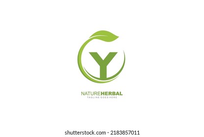 Y Logo-Blatt für die Identität. Naturvorlage, Vektorgrafik für Ihre Marke.