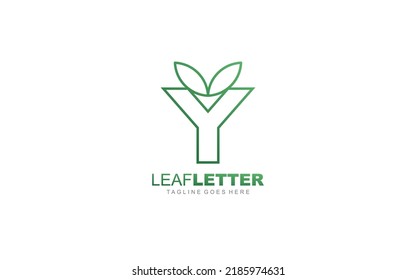 Y logo leaf for identity. nature template vector illustration for your brand.