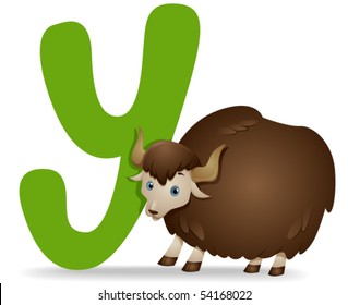 Y for Yak - Vector