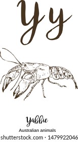 Yabbie, A to z, alphabet sketch australian animals drawing vector illustration. Vintage hand drawn with lettering. Ready for print. Letter Y for yabbie. ABC.