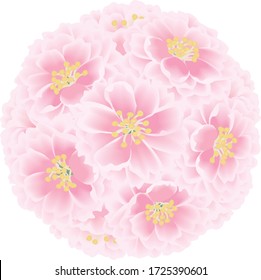 八重桜 のイラスト素材 画像 ベクター画像 Shutterstock
