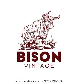 Yak american bison hand drawn logo vector vintage illustration bull horn design symbol