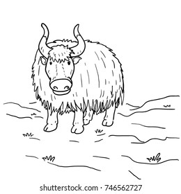 Yak cartoon vector hand drawn
