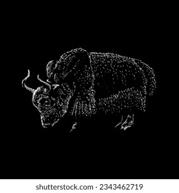 yak hand drawing vector isolated on black background.