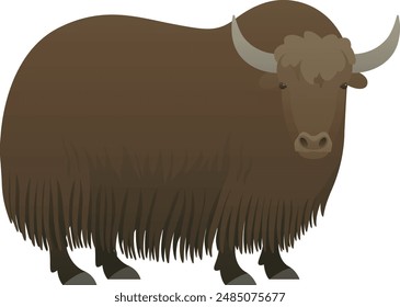 Yak with horns realistic vector illustration. Tartary or grunting wild ox standing side view color graphic. Hairy cattle isolated on white background. Domestic farm animal.