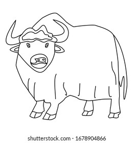 Yak Line Art Clip Art Vector Illustration 