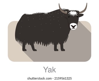 Yak standing on the ground, and some snow on its body