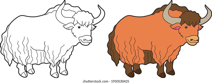 Yak Vector Drawing Animal Vector Drawing, Cartoon Vector, Line Art And Color