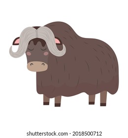 Bull salvaje de Yak o buey de almizcle, linda ilustración infantil vectorial en estilo plano. Para afiches, tarjetas de felicitación y diseño de bebés.