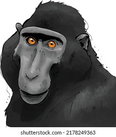 yaki monkey face illustration facing forward