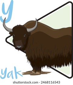 Yaks are animals that are native to Tibet and China. Yaks’ lung capacity is about three times that of cattle. Yak physiology is well adapted to high altitudes. Yaks have firm, dense horns.