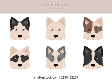 Yakutian Laika  clipart. Different poses, coat colors set.  Vector illustration