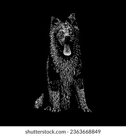 yakutian laika hand drawing vector isolated on black background.