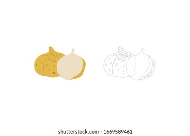 Yam Object Vector Fruit Illustration Bundle 