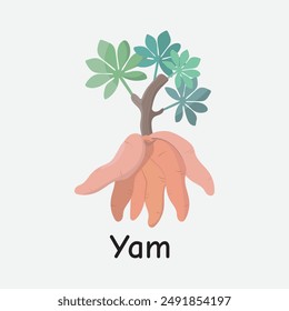 Yam Vector Illustration for Root Vegetables