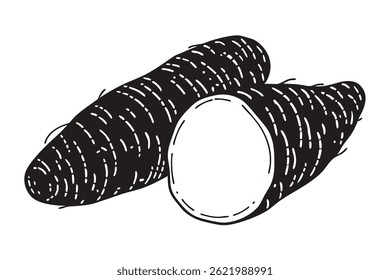 Ilustración vectorial vegetal del ñame aislada en el fondo blanco

