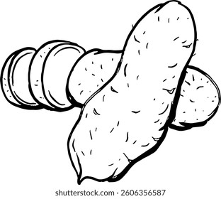 Yam. Vegetables. Hand drawn vector isolated sketch.