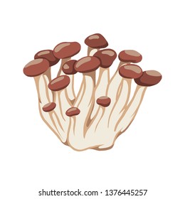 Yanagi Mutsutake Mushroom vector illustration. Cute concept of Yanagi Mutsutake Mushroom