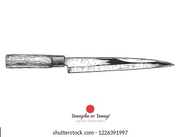 Yanagiba (literally willow blade) or Shobu, Yanagi, traditional Japanese kitchen knife. Vector hand drawn illustration in vintage engraved style. Isolated on white background.