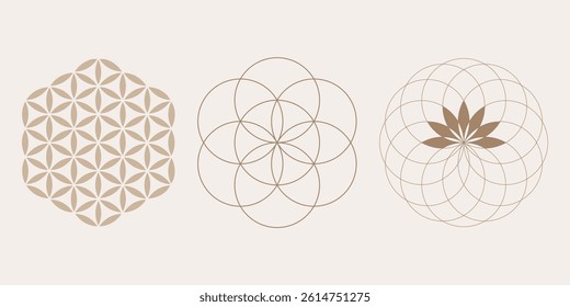 Yantra Mandala seed of life, Flower of Life, Mystical Lotus, set Sacred Geometry, symbols of harmony and balance. Retro style, vector isolated on white background 