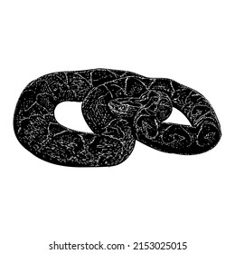 yarara snake hand drawing vector illustration isolated on white background