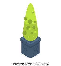 Yard bush pot icon. Isometric of yard bush pot vector icon for web design isolated on white background