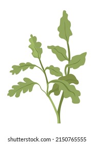 Yard grass decoration for orchard or interior of garden. Isolated weed or herbal plant with leaves and lush foliage. Decor for outdoors, growing botany ecological and natural. Vector in flat style
