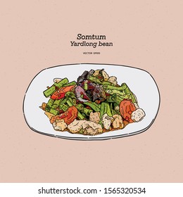 Yard long bean spicy salad Thai street food. Hand draw sketch vector.