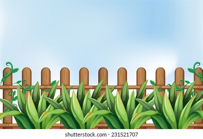 A yard with plants and a fence