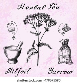 Yarrow Achillea millefolium hand drawn botanical illustration. Vector drawing. Herbal tea elements - tea bag, bag, mortar and pestle. Medical herbs. Lettering in English languages. Grunge background
