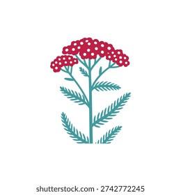 Yarrow with Bold Deep Red Flowers and Blue-Green Leaves, Minimalist Botanical Vector