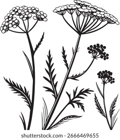 Yarrow Clustered Tiny Bloom Silhouette