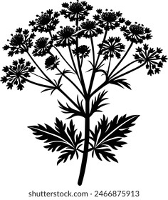Yarrow flower Vector Silhouette Design