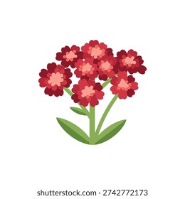 Yarrow Galaxy Red with Deep Red Flowers and Lighter Centers, Green Leaves, Flat Botanical Vector Illustration