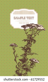 Yarrow herb (Achillea millefolium). A sketch made by a pen on a green patterned background. Vector illustration.