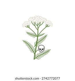 Yarrow Toxicity Warning Icon with Small Skull Symbol, Stylized Botanical Flat Vector Illustration