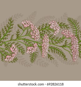 yarrow vector pattern