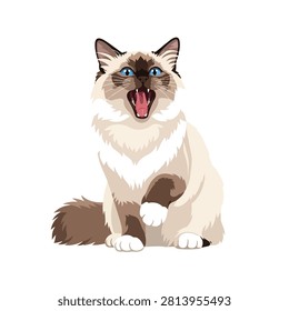 Yawning Birman Cat Vector Illustration with Blue Eyes and Open Mouth Isolated on White Background