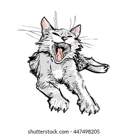 Yawning cat.