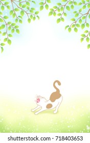 yawning cat in forest