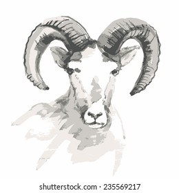 Year of the goat. Vector illustration of mountain goat. Watercolor (hand draw).