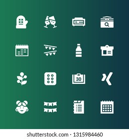 year icon set. Collection of 16 filled year icons included Calendar, Garland, Chinese, Xing, Cracker, Holly, Champagne, Garlands, Cheers, Mitten