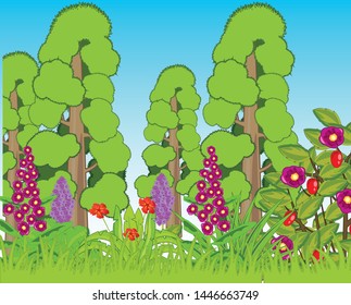 Year landscape with glade and flower and tree sequoia