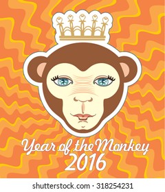 Year of the Monkey. 2016. Him.