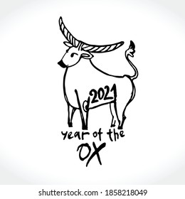 Year of the Ox 2021. Outline vector illustration. Chinese New Year Greeting Card. Illustration of year of the Ox. Black ink brush calligraphy 2021. 