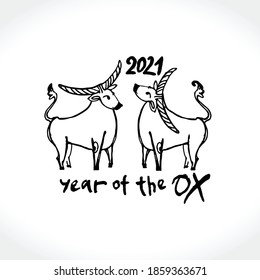 Year of the Ox 2021 sketch vector illustration. Black ink brush Two cute cows are drawn. Illustration of year of the Ox 2021 Chinese New Year. 
