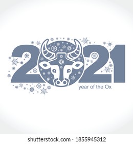 Año del Ocx 2021. Modelo de vectores Diseño de Año Nuevo en el calendario chino. 