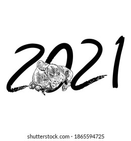 Year of the ox, Chinese New Year 2021. Bull with the handwritten number sign. Lunar new year symbol and horoscope sign for card. Hand drawing vector.