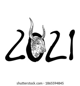 Year of the ox, Chinese New Year 2021. Bull with the handwritten number sign. Lunar new year symbol and horoscope sign for card. Hand drawing vector.